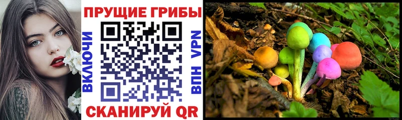 Галлюциногенные грибы Psilocybe  Ликино-Дулёво 