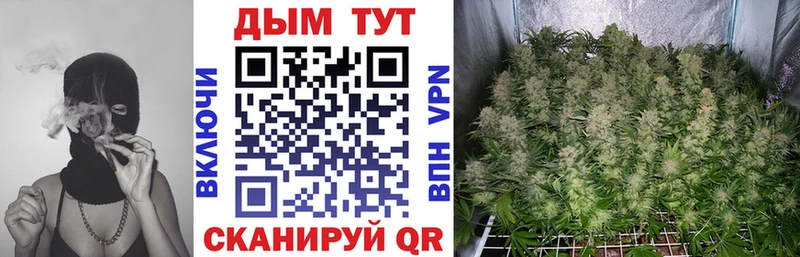 Бошки Шишки план Ликино-Дулёво